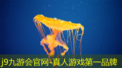 j9九游真人游戏第一品牌：经典3d游戏 西幻游戏