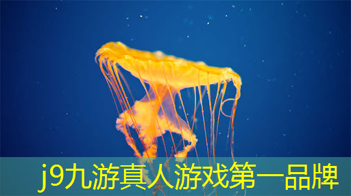 电脑射击老游戏3d大全怀旧