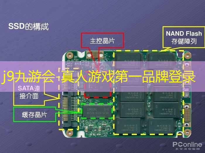 j9九游真人游戏第一平台：像素枪3d游戏大海
