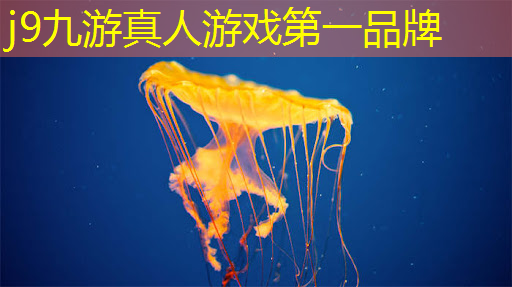 j9九游会真人第一品牌：第四届中国青年电竞大赛是否会举办现场观众抽奖活动？