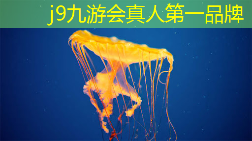 j9九游会真人第一品牌：3d游戏怎么连接手柄玩游戏