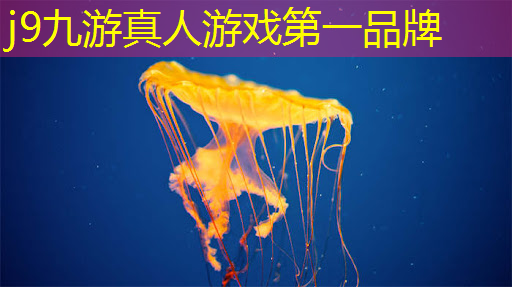 微信小程序游戏盘子消除