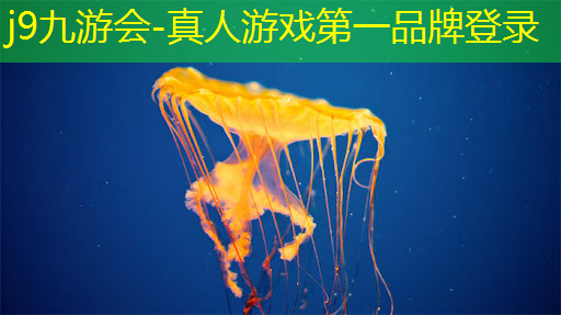 j9九游会-真人游戏第一品牌登录：3d眩晕射击游戏