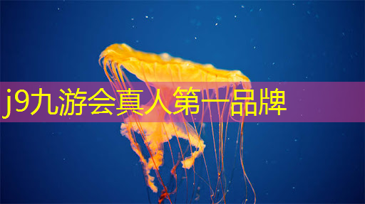 j9九游真人游戏第一平台：电脑好玩游戏推荐晕3d