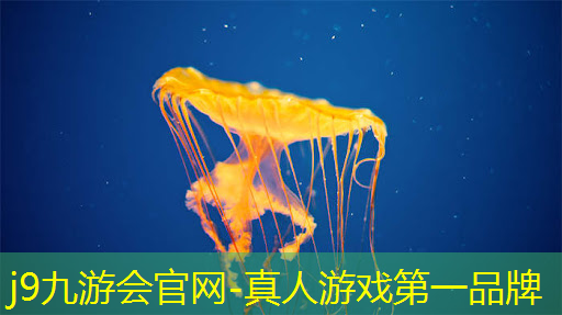 小程序黑桃大师怎么玩游戏