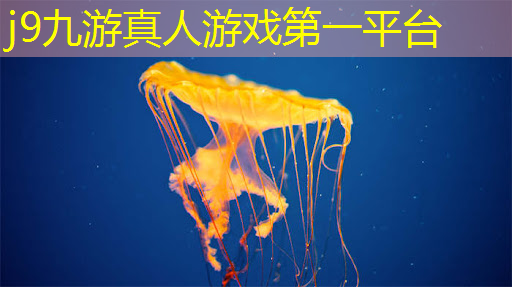 青年电竞大赛花式足球：电竞和足球的蓝图如何相互交织？