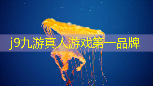 j9九游真人游戏第一平台：灯光小程序游戏有哪些名字