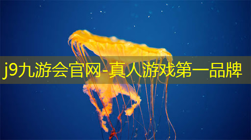 换装搭配3d游戏怎么玩