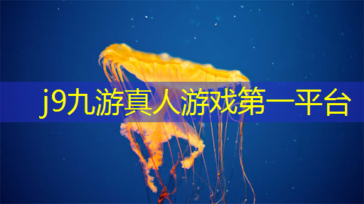 经典3d游戏 西幻游戏