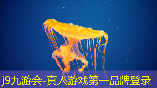 电脑射击老游戏3d大全怀旧