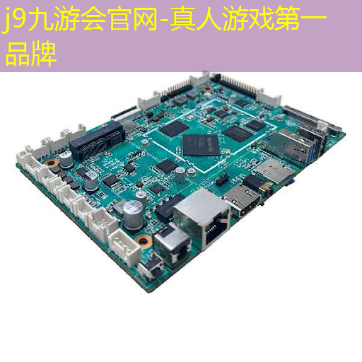 模拟3d出生过程的游戏