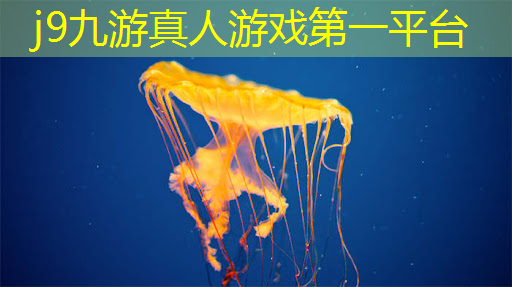 灯光小程序游戏有哪些名字