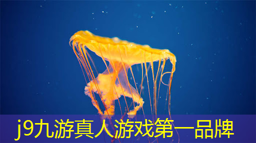 换装搭配3d游戏怎么玩
